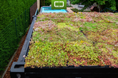 20ft container pool en kantoor