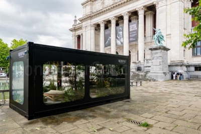 Morpho_showroom_big1