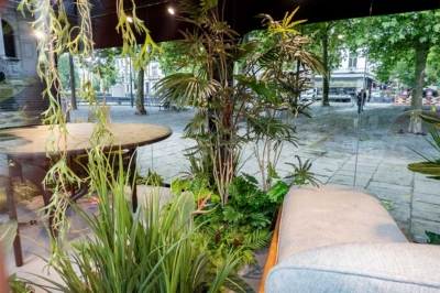 Morpho_showroom_big2